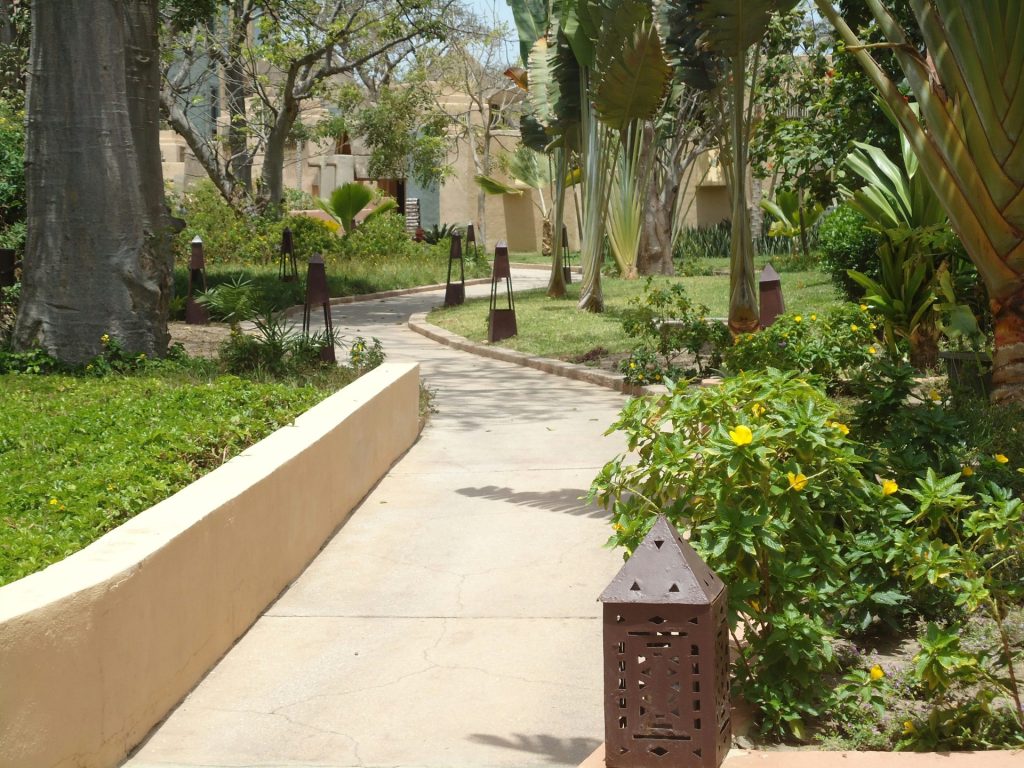 brown wooden house near green trees during daytime